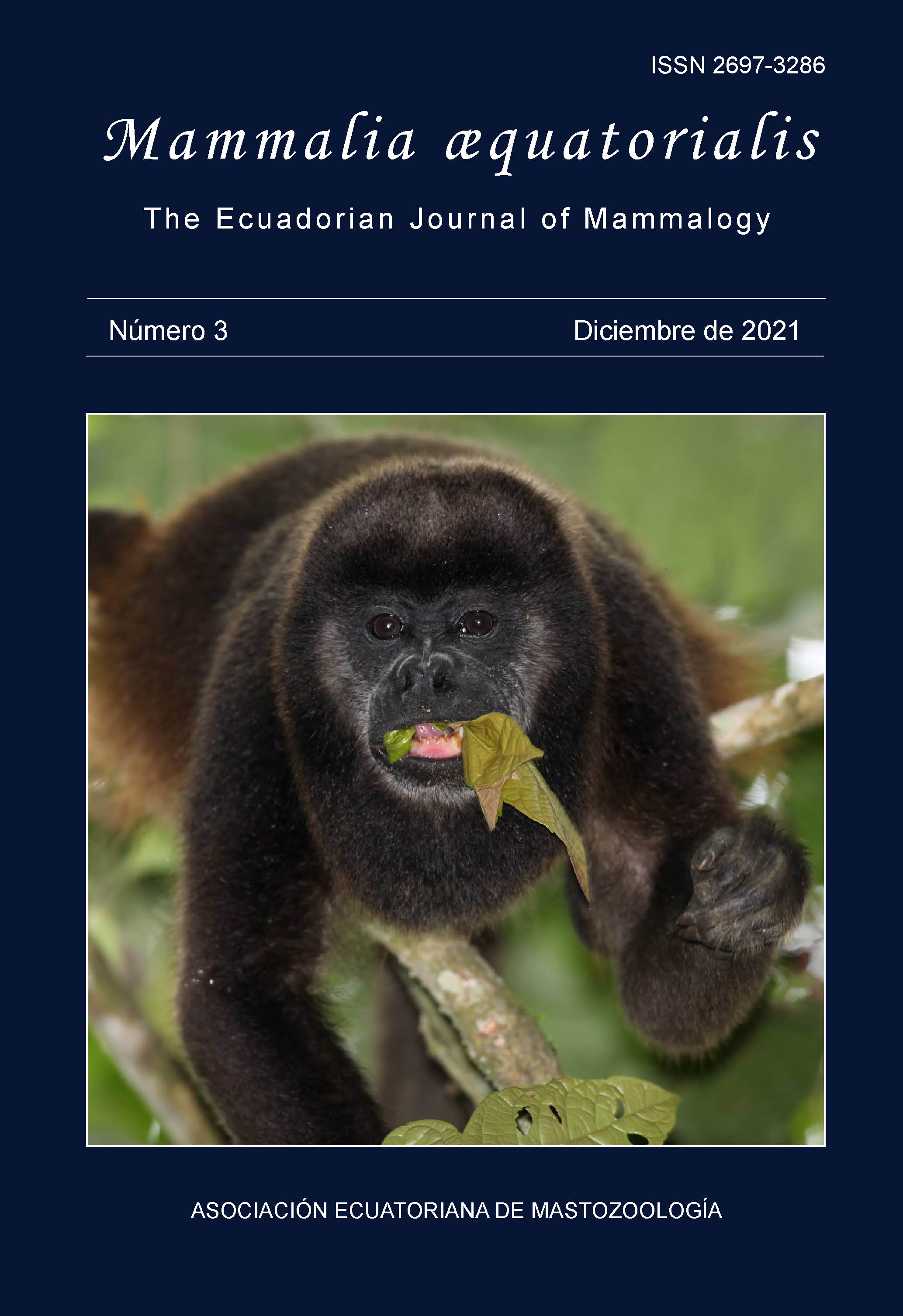 Mono aullador de manto dorado (Alouatta palliata) en provincia de Manabí, Ecuador