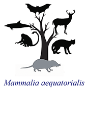 Phylogenetic tree of mammals - Árbol filogenético de los mamíferos